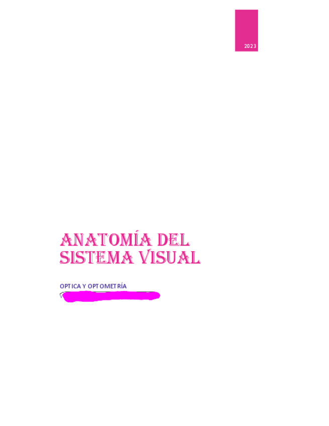 Miniatura del documento Apuntes-anatomia-visual.pdf