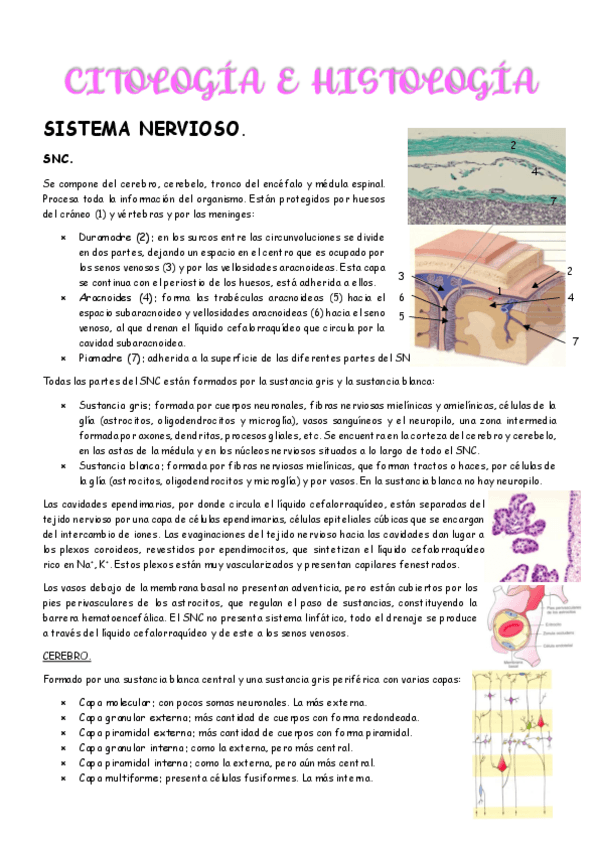 Miniatura del documento 2dos-parciales-Citologia.pdf