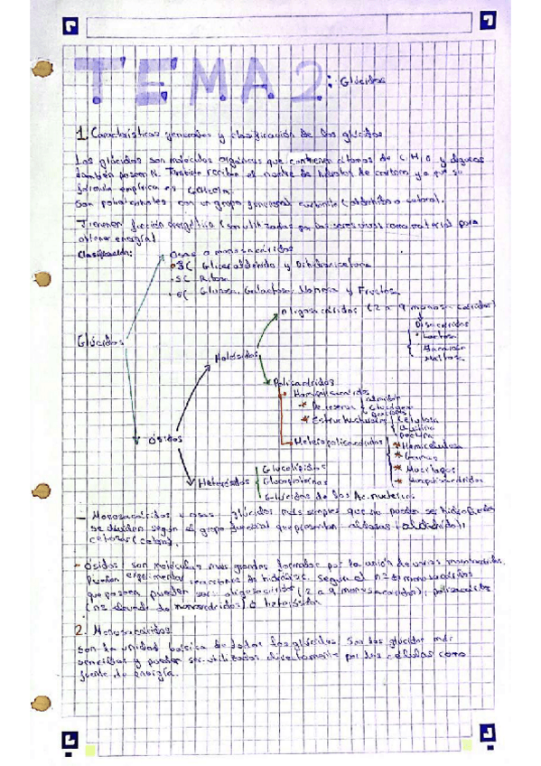 Miniatura del documento TEMA-2Glucidos.pdf
