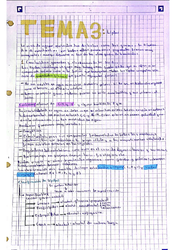 Miniatura del documento TEMA-3Lipidos.pdf