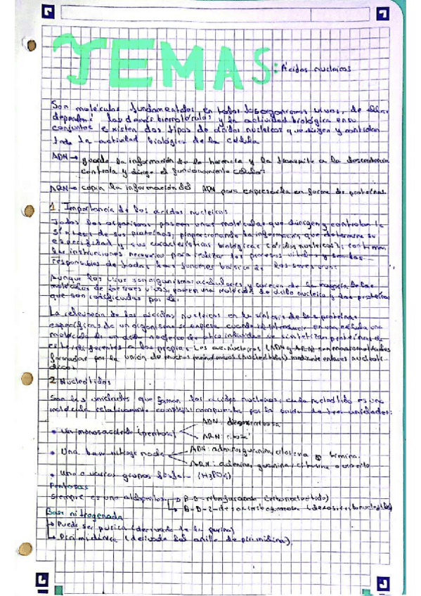 Miniatura del documento TEMA-5-Acidos-nucleicos.pdf