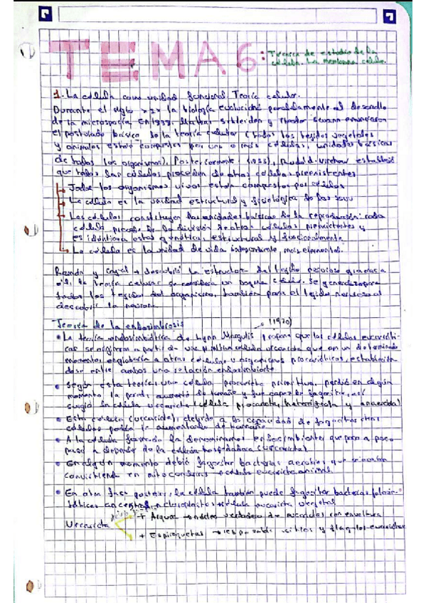 Miniatura del documento TEMA-6La-membrana-plasmatica.pdf
