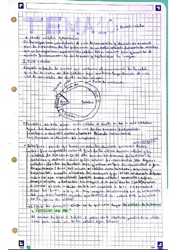 Miniatura del documento TEMA-10Division-celular.pdf