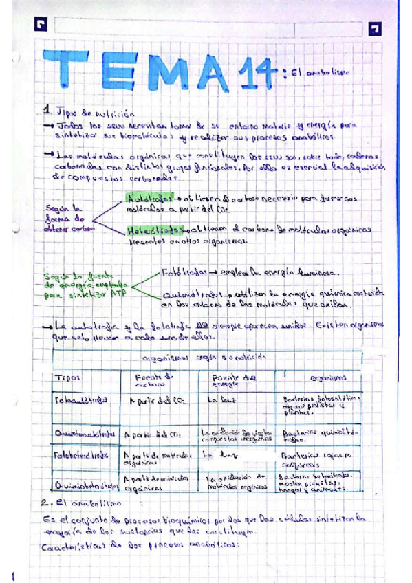 Miniatura del documento TEMA-14Anabolismo.pdf