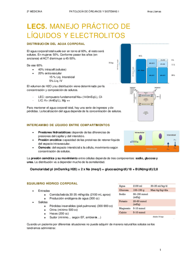 Miniatura del documento Equilibrio-hidroelectrolitico-y-acido-base.-Rinon-y-vias-urinarias.-POSI.pdf
