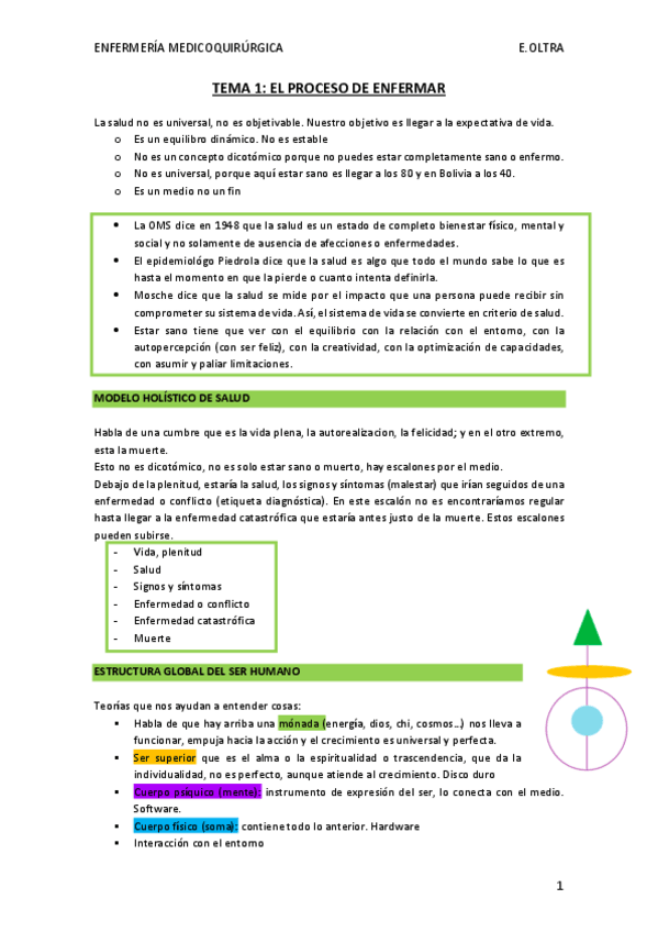 Miniatura del documento apuntes-enfemeria-oltra.pdf