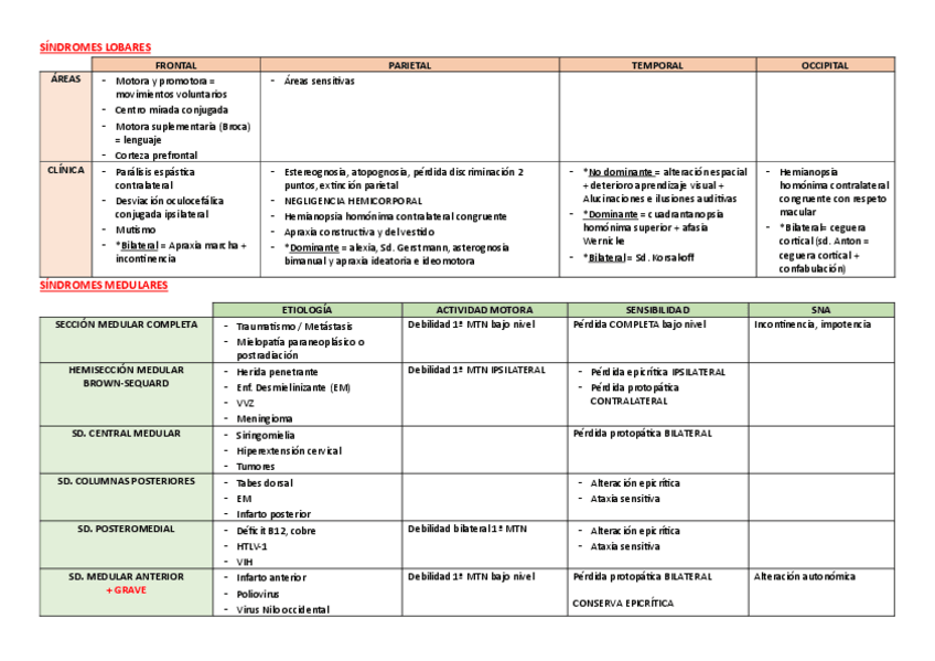 Miniatura del documento ESQUEMAS-DE-NEURO.pdf