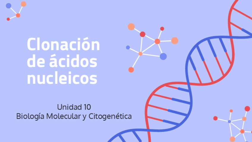 Miniatura del documento 10.-Clonacion-de-acidos-nucleicos.pdf