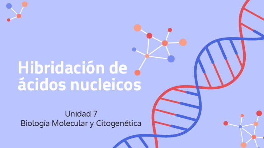 Miniatura del documento 7.-Hibridacion-de-acidos-nucleicos.pdf
