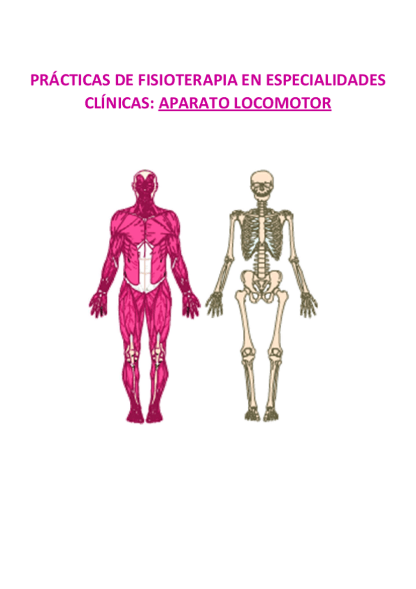 Miniatura del documento Practicas-locomotor.pdf