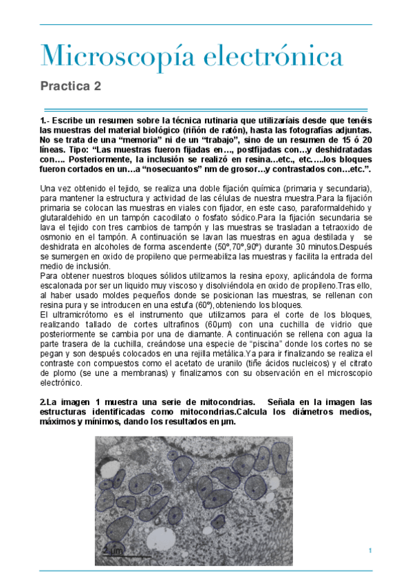 Miniatura del documento Practica 2- Microscopía electrónica.pdf