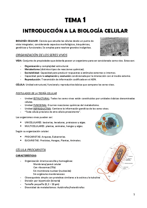 Miniatura del documento TEMA-1-Biologia-celular.pdf
