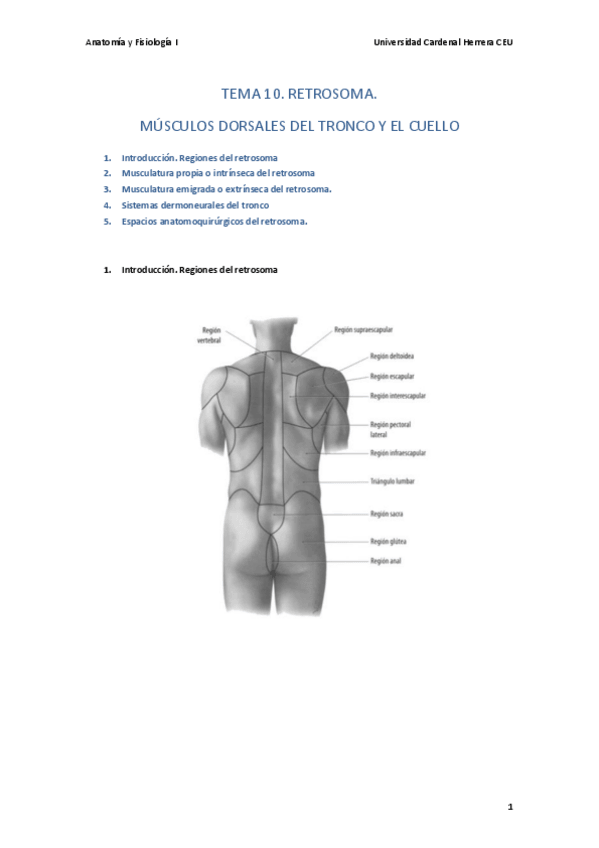 Miniatura del documento T10-13-anat.pdf