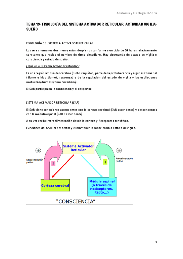 Miniatura del documento t19-soria.pdf