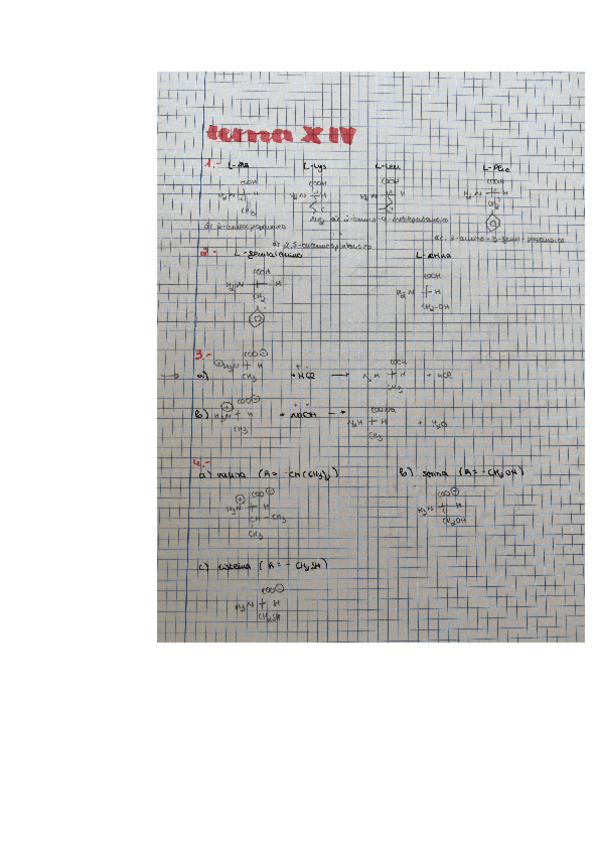 Miniatura del documento tema14.pdf