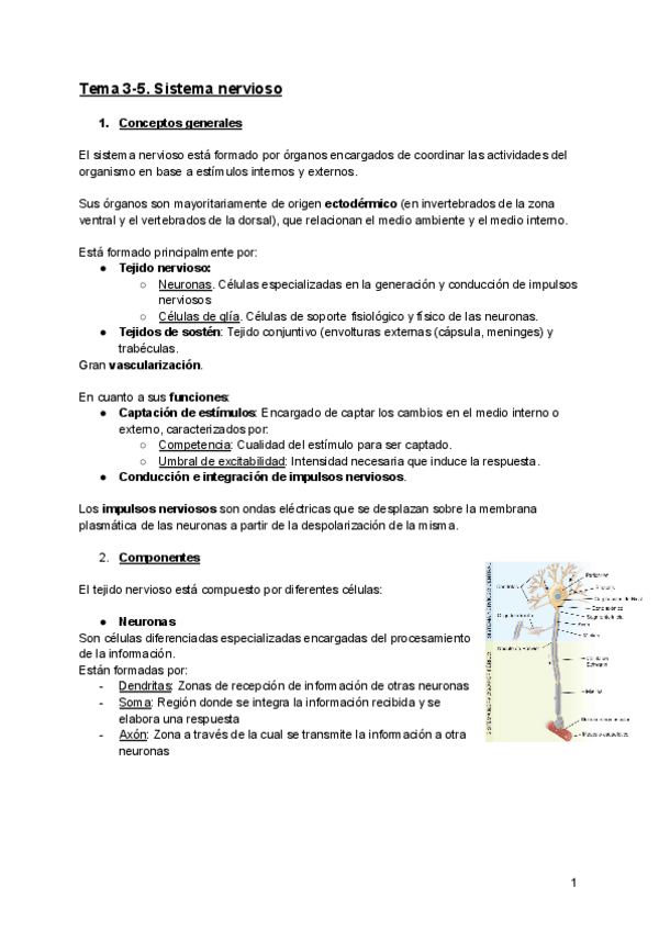 Miniatura del documento Tema-3-5.-SISTEMA-NERVIOSO.-Organografia.pdf