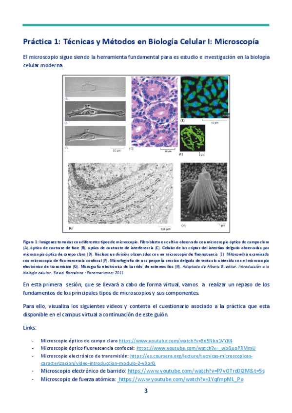 Miniatura del documento Cuaderno-PRACTICAS-nuevo-2023-BIOLOGIA-CELULAR-1-13.pdf