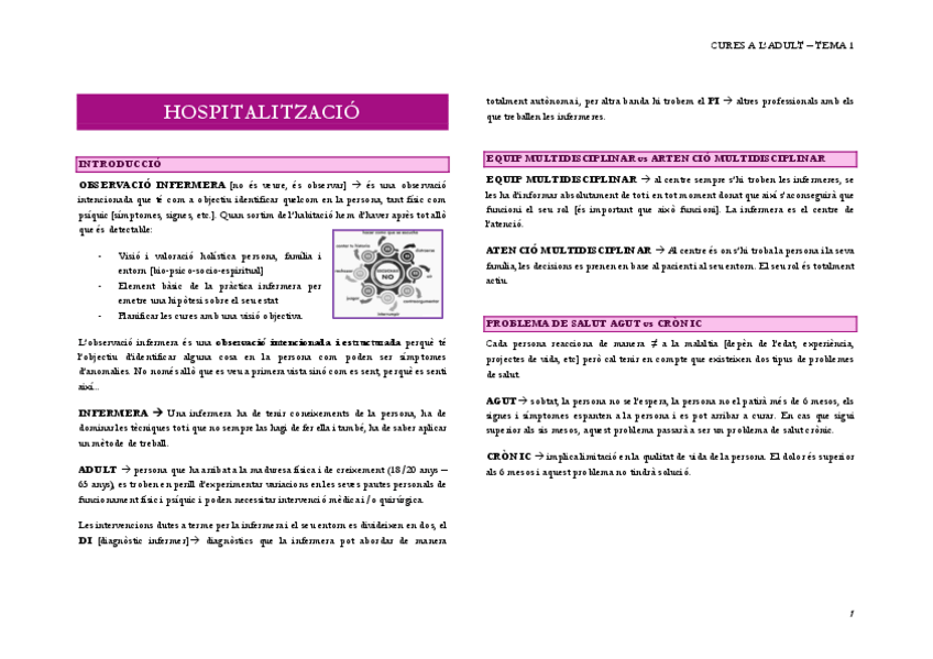 Miniatura del documento APUNTS-T1-T6-amb-comentaris-profe.pdf