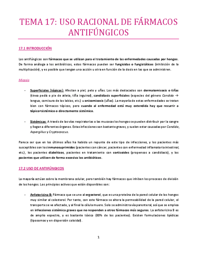 Miniatura del documento TEMA-17-bueno.pdf