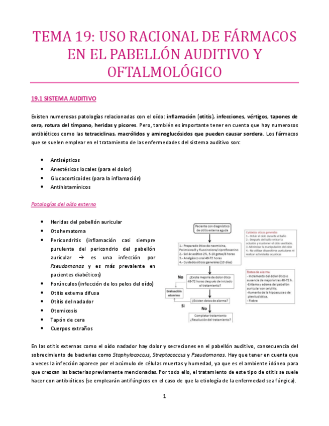 Miniatura del documento TEMA-19-bueno.pdf