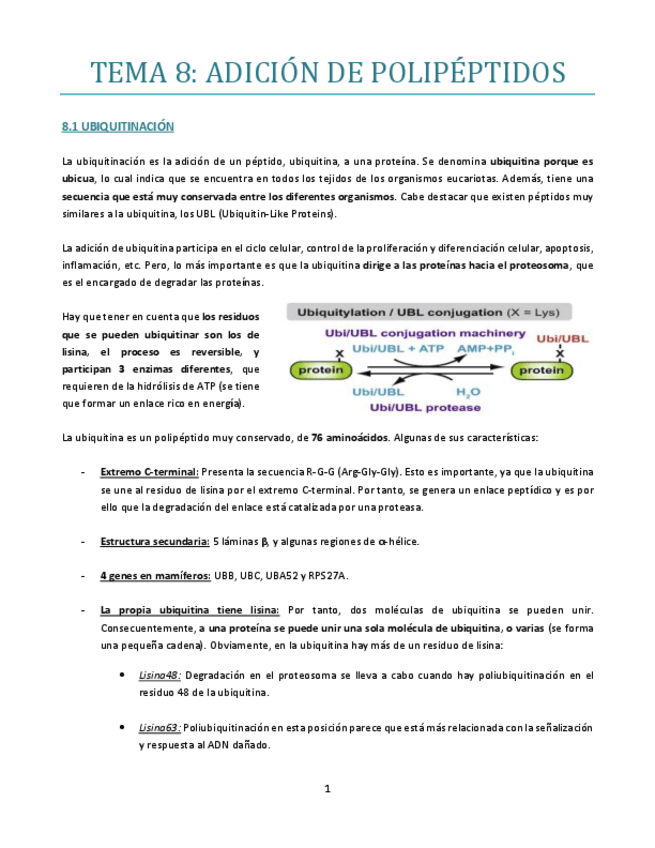 Miniatura del documento TEMA-8-bueno.pdf