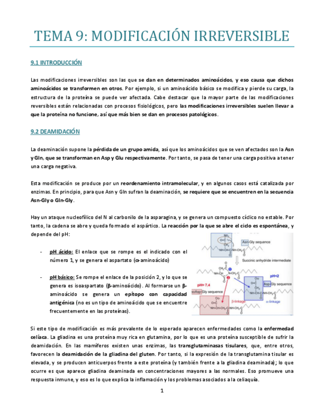 Miniatura del documento Tema-9-bueno.pdf