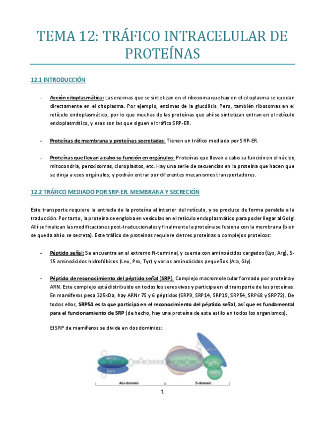 Miniatura del documento Tema-12-bueno.pdf