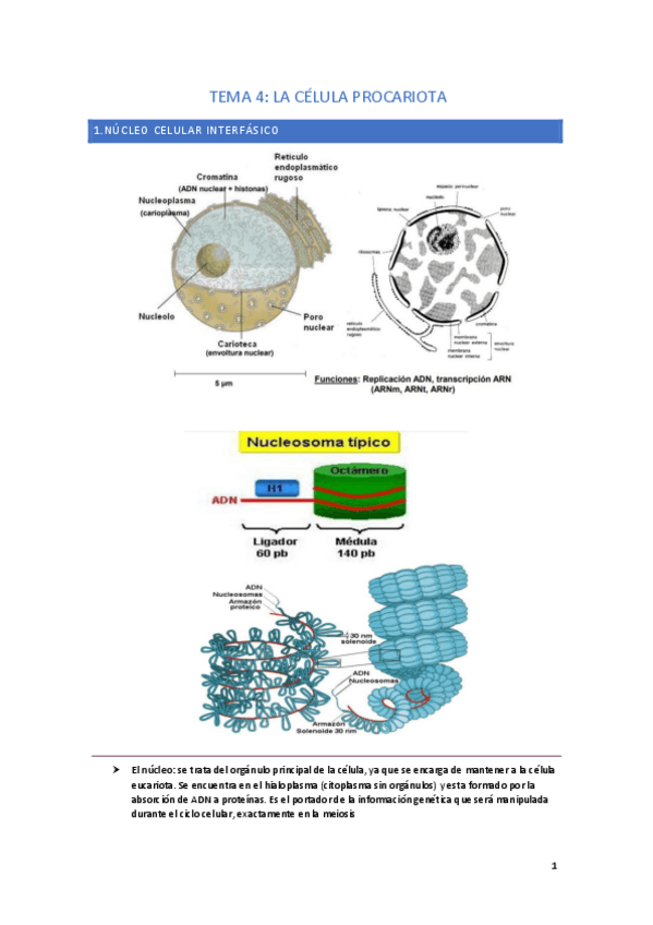 Miniatura del documento Bio-2.pdf