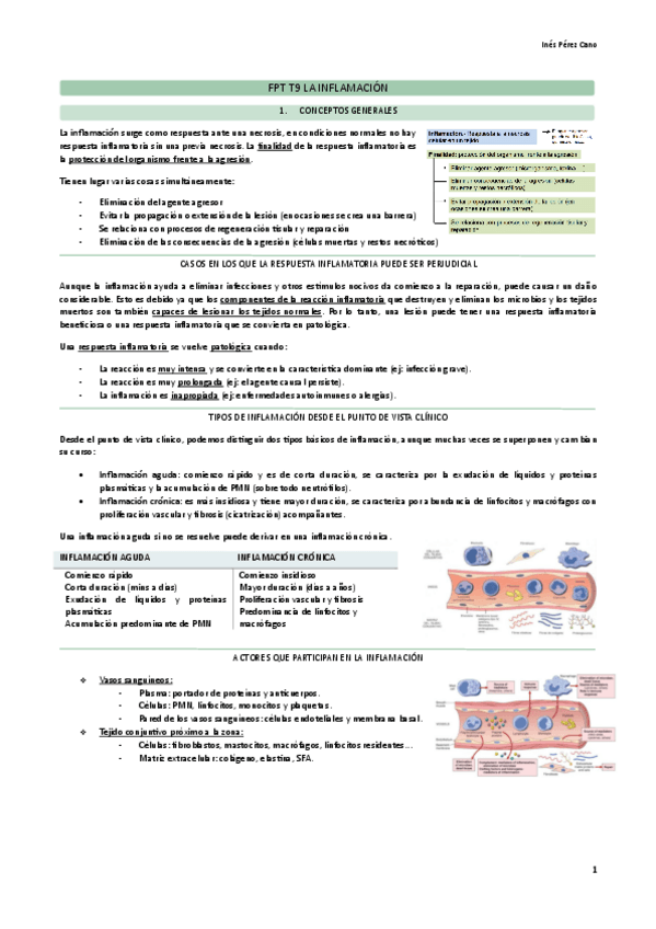 Miniatura del documento FPT-T8-La-inflamacion.pdf
