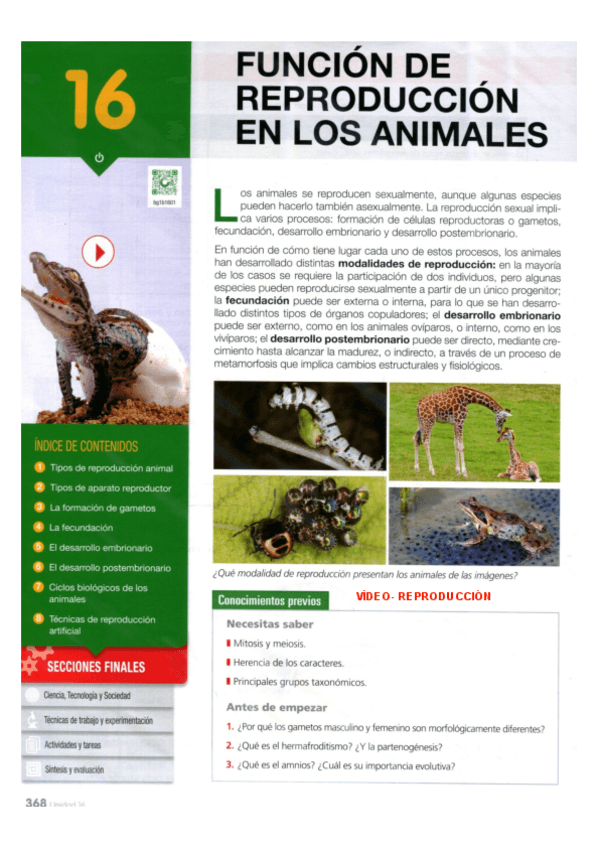 Miniatura del documento 1.-Tema-16.-Funcion-reproduccion-animales.pdf