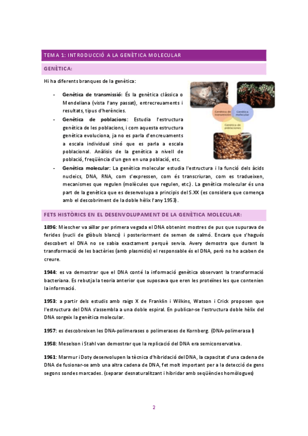 Miniatura del documento genetica-molecular-1r-parcial.pdf