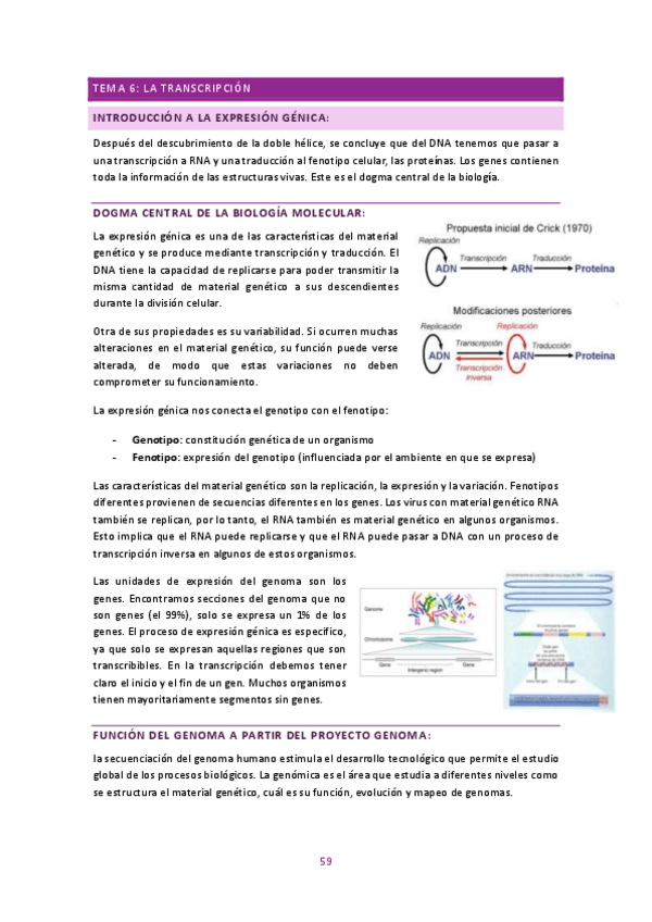 Miniatura del documento genetica-molecular-2n-parcial.pdf