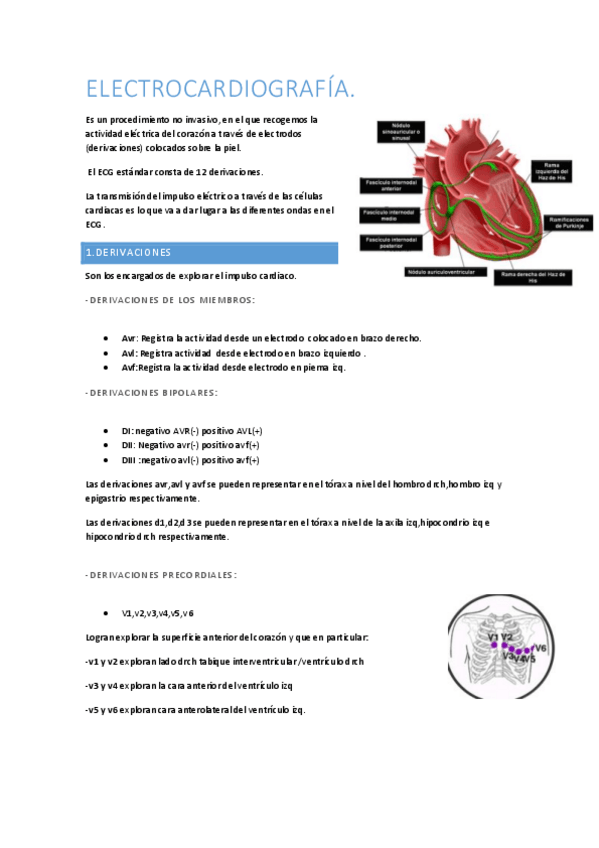 Miniatura del documento electrocardiografia.pdf