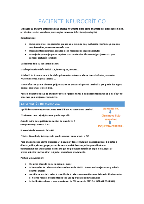 Miniatura del documento Paciente-neurocritico.pdf