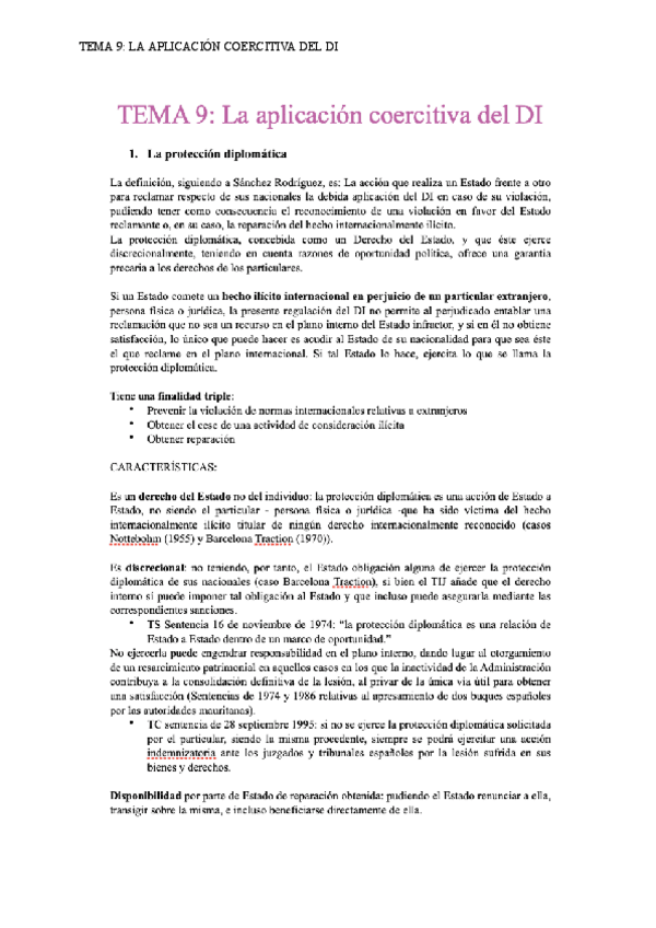 Miniatura del documento TEMA-9-LA-APLICACION-COERCITIVA-DEL-DI.pdf