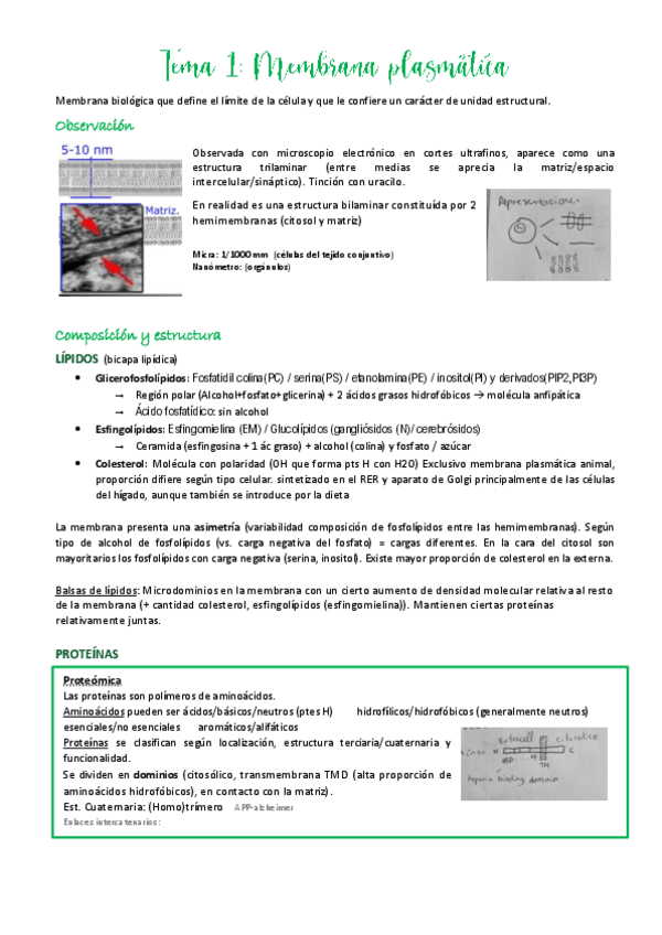 Miniatura del documento Tema-1.pdf