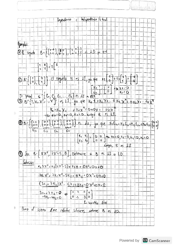 Miniatura del documento Dependencia-e-independencia-lineal.pdf