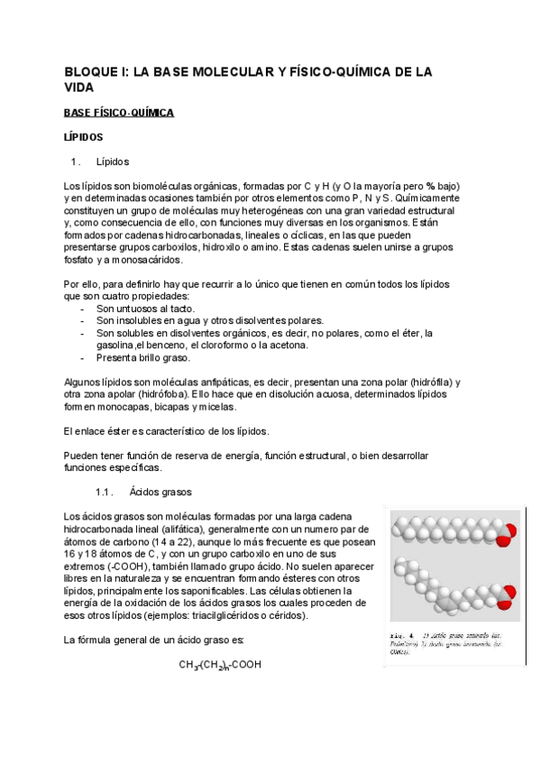 Miniatura del documento 4. LÍPIDOS.pdf