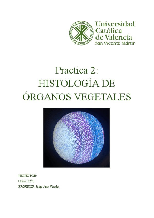 Miniatura del documento practica-2-fisio.pdf