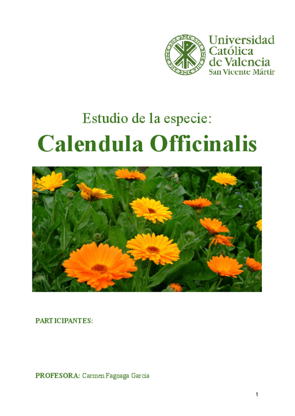 Miniatura del documento trabajo-planta-entregar.pdf