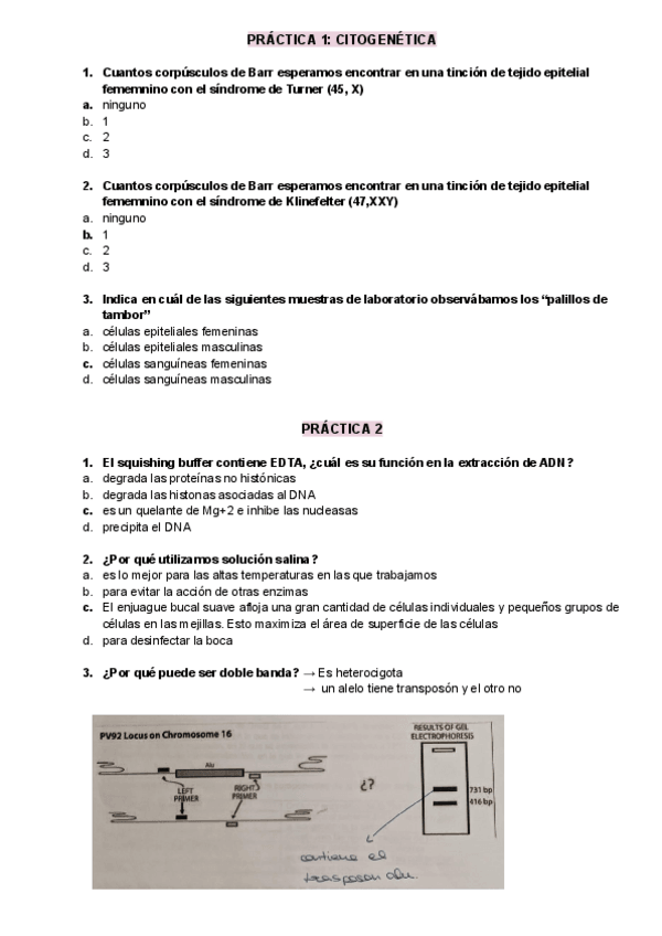 Miniatura del documento cuestionarios-practicas.pdf