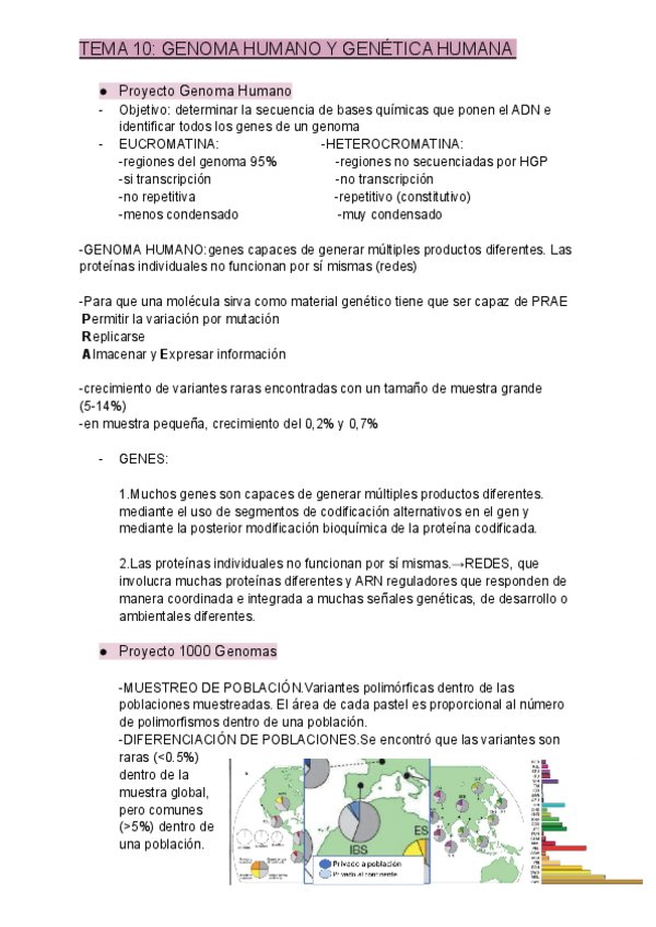 Miniatura del documento apuntes-parte-carmen.pdf