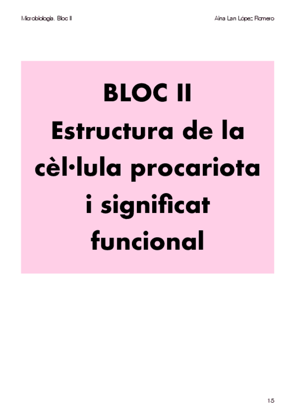 Miniatura del documento Bloc-II.pdf