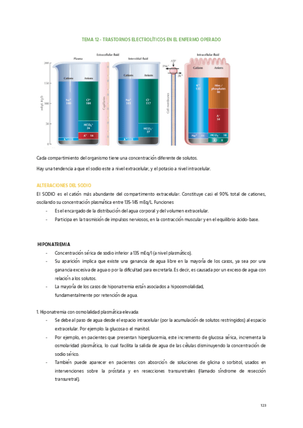 Miniatura del documento 12.-Trastornos-Electroliticos-en-el-Enfermo-Operado.pdf