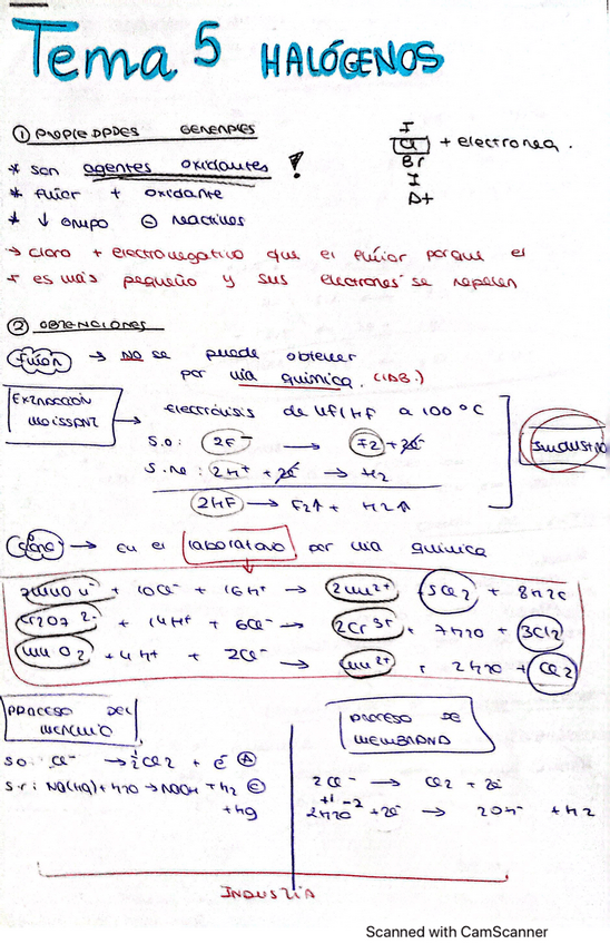 Miniatura del documento Tema-5.pdf