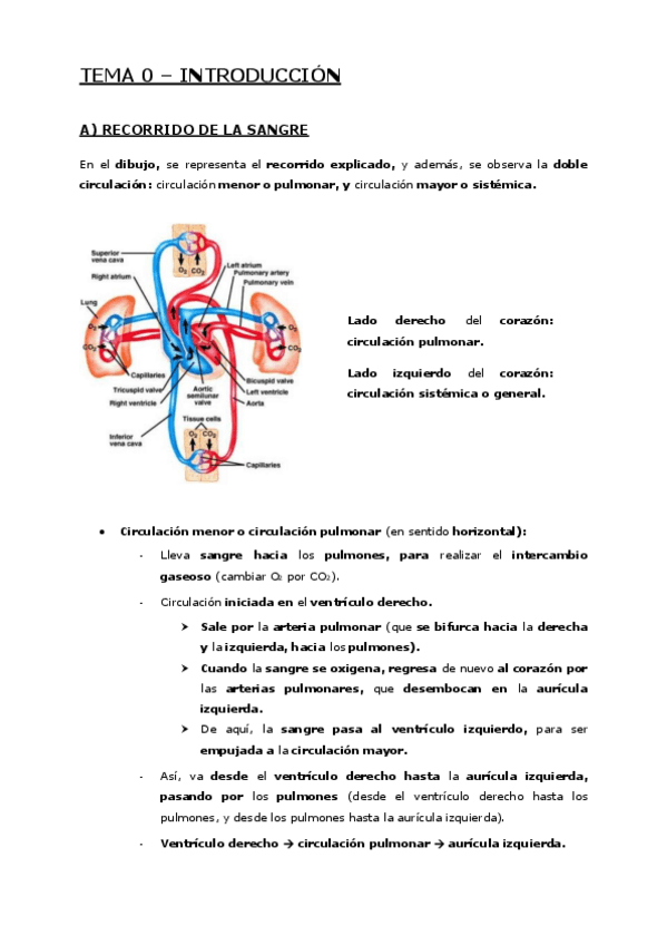 Miniatura del documento Tema-0-Introduccion.pdf