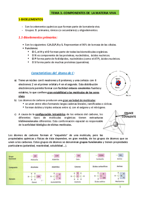 Miniatura del documento Apuntes-de-bioquimica.pdf