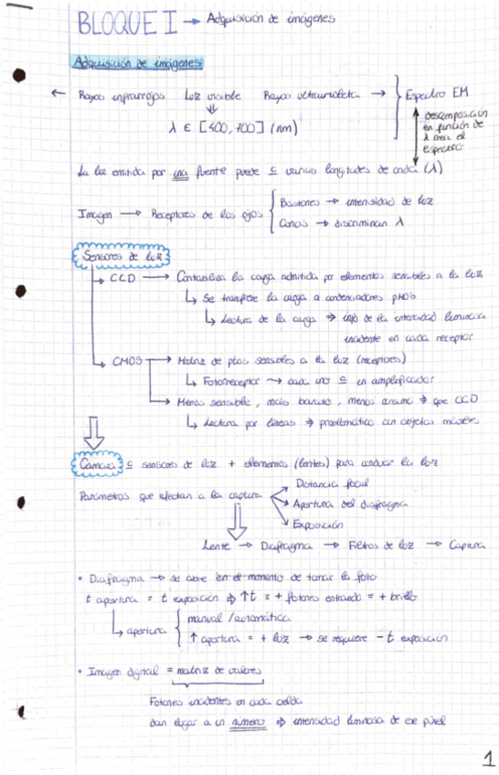 Miniatura del documento PERCEPCION.pdf
