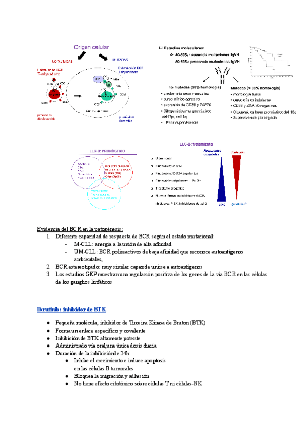 Miniatura del documento falta-tema-13.pdf