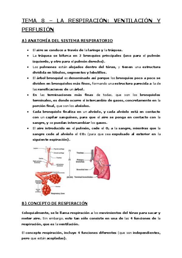 Miniatura del documento Tema-8-La-respiracion-ventilacion-y-perfusion.pdf